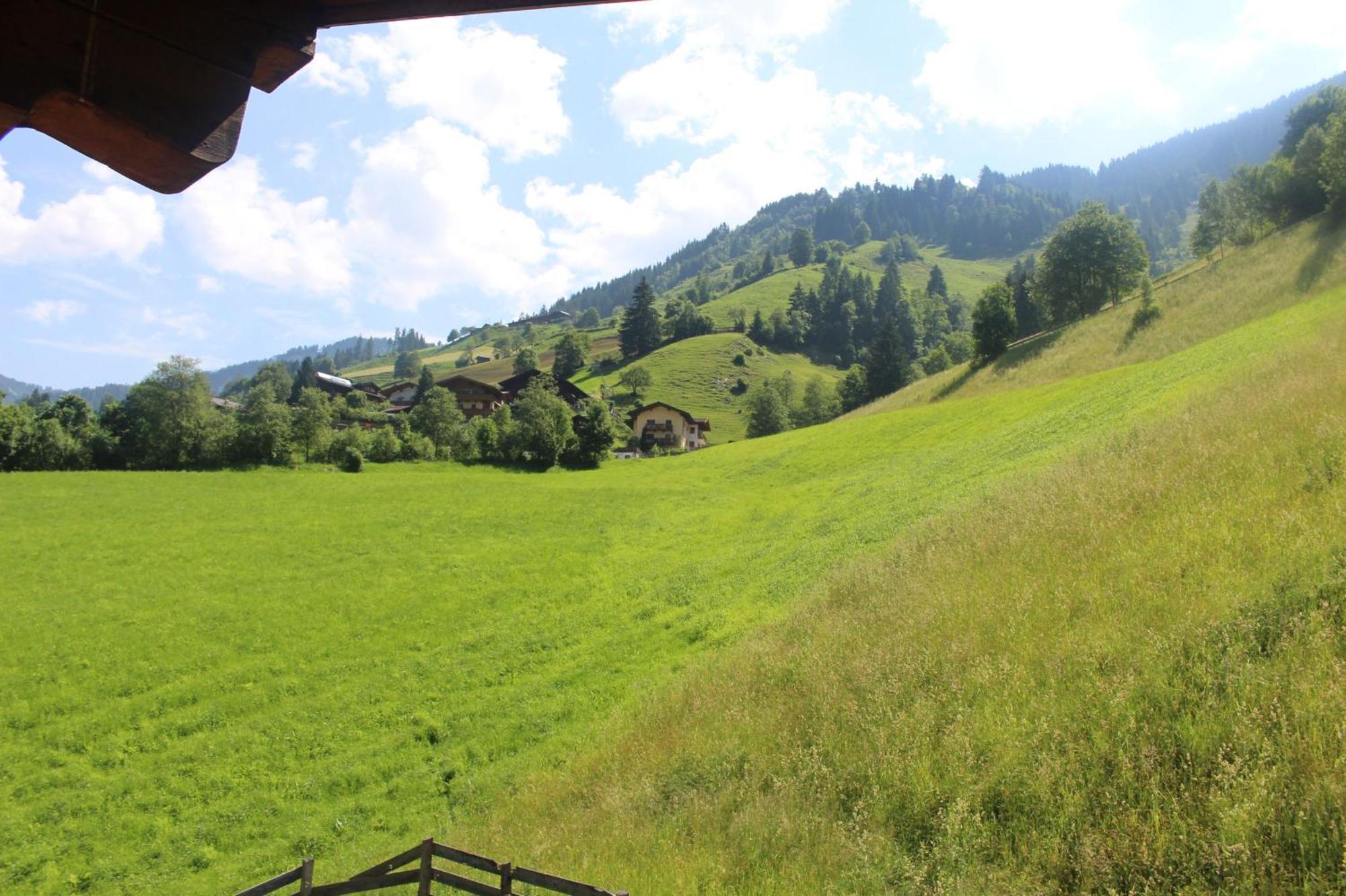 Вілла Chalet Rehlein Гросарль Номер фото